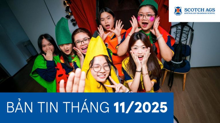 bản tin tháng 11