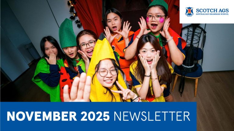 Newsletter November 2025