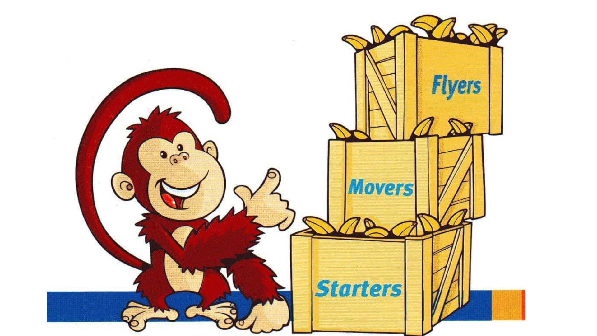 YLE là gì YLE là gì