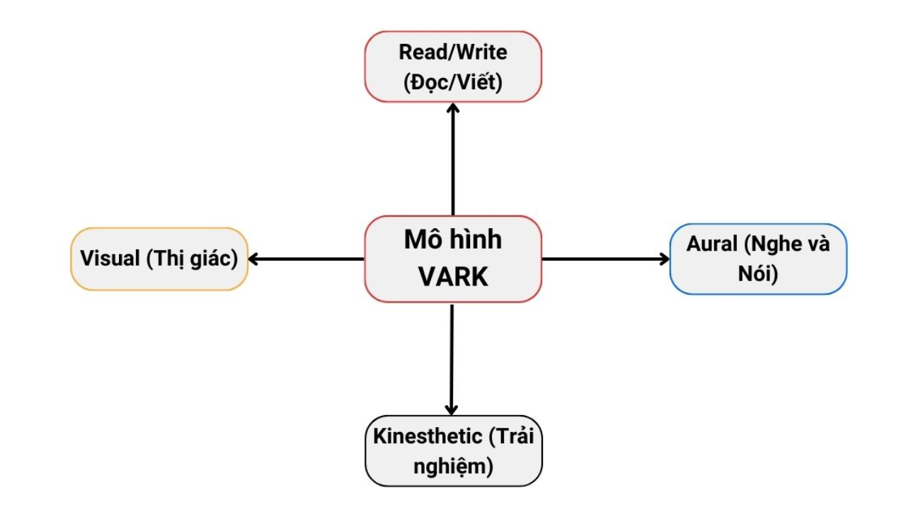 Việc thấu hiểu mô hình VARK giúp giáo viên chọn kỹ thuật phù hợp với sự đa dạng của học sinh