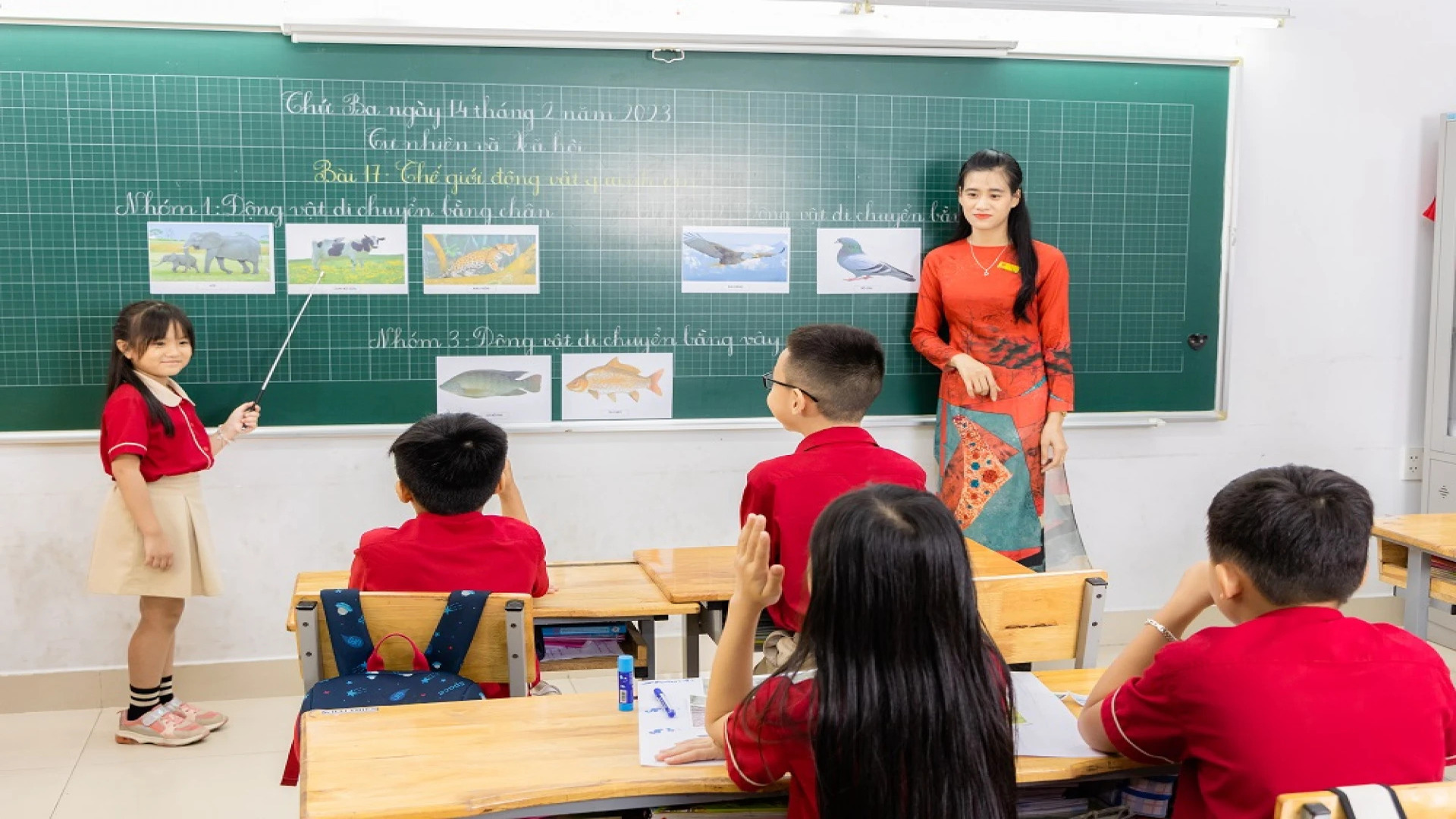 trường tiểu học quốc tế quận tân phú