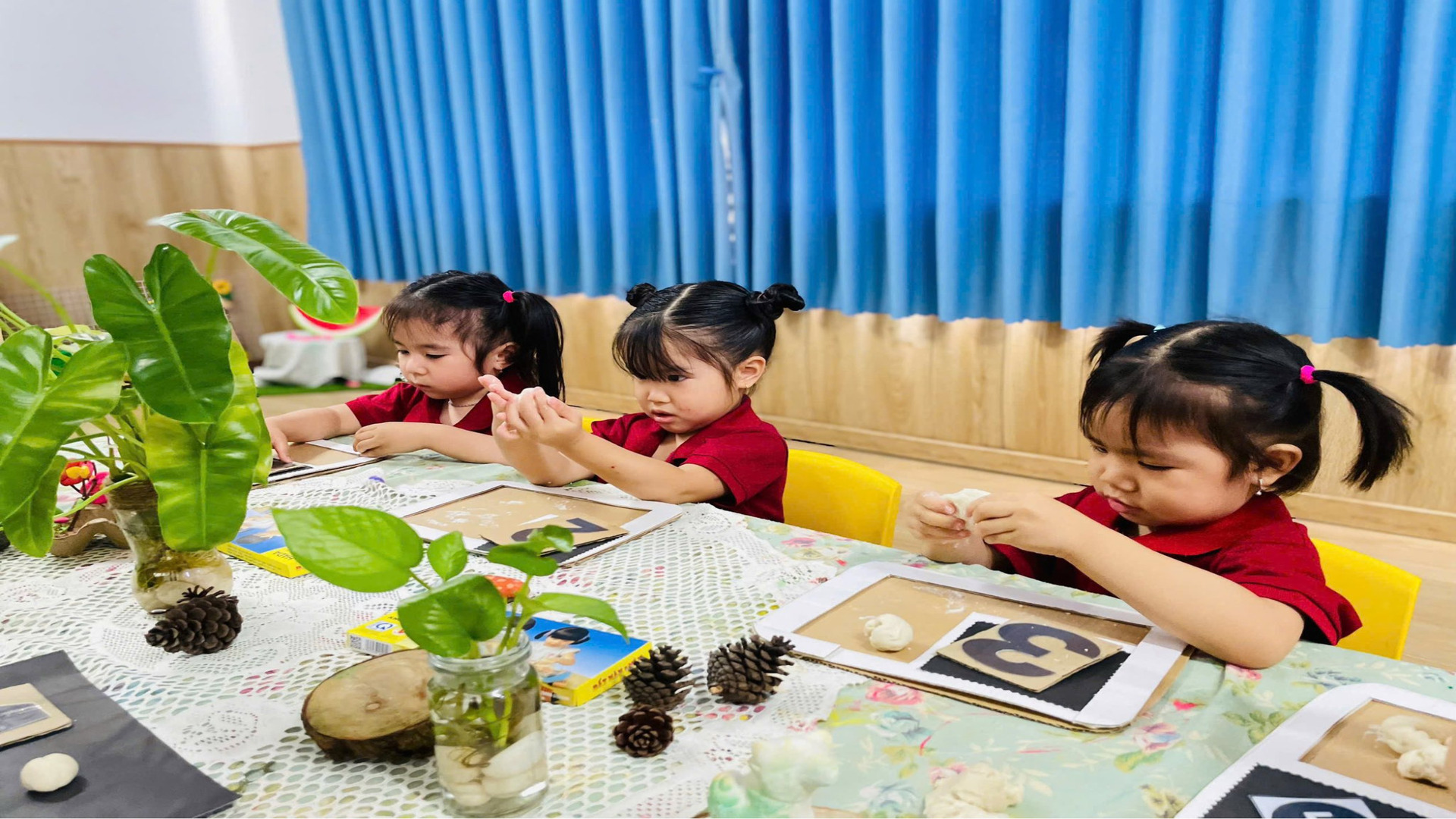 trường tiểu học quốc tế quận tân phú