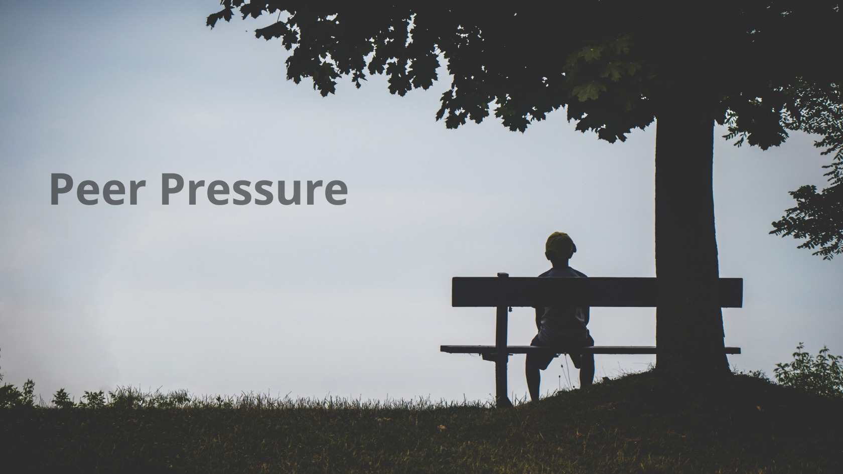 áp lực đồng trang lứa Peer Pressure